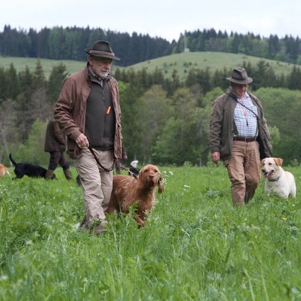 wildfoto.at