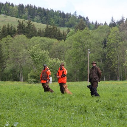 wildfoto.at