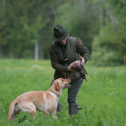 wildfoto.at