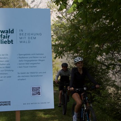 wildfoto.at