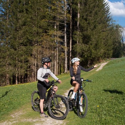 wildfoto.at